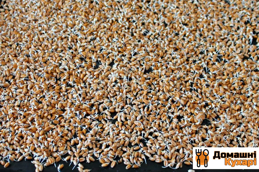 Салат з паростками пшениці - фото крок 4